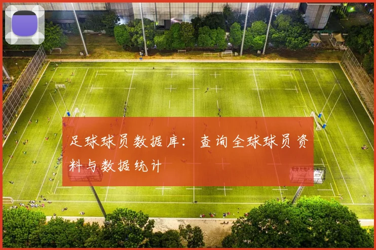 足球球员数据库：查询全球球员资料与数据统计