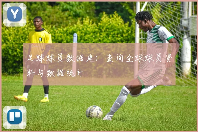 足球球员数据库：查询全球球员资料与数据统计