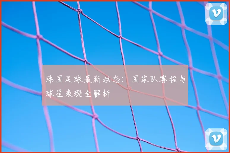 韩国足球最新动态：国家队赛程与球星表现全解析